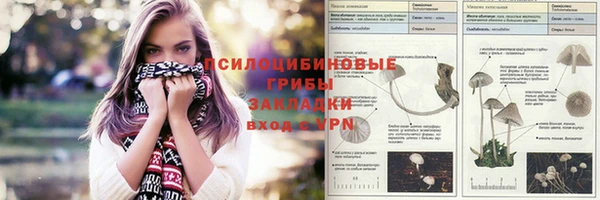 сатива Аркадак