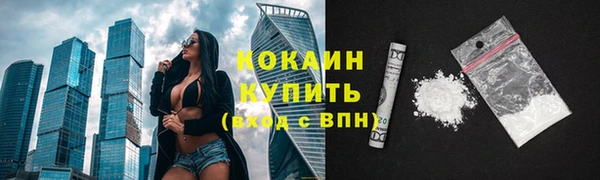 спайс Арсеньев