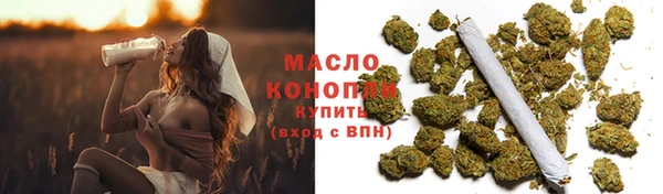 сатива Аркадак