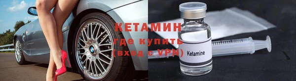 сатива Аркадак