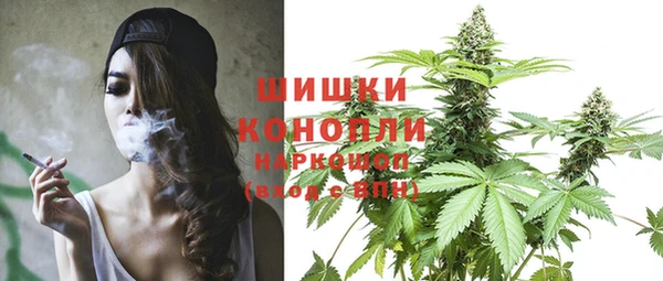 сатива Аркадак